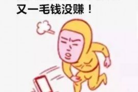 沈丘债务清欠服务